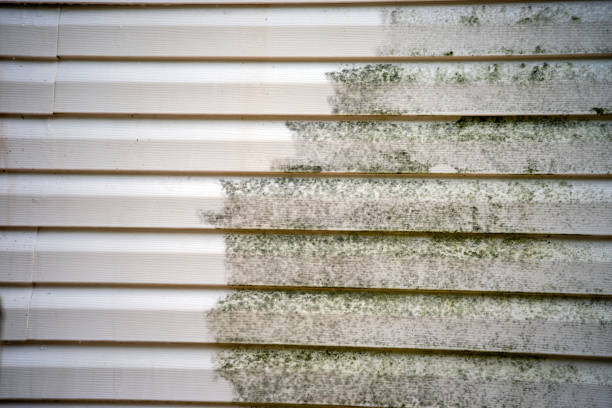 Best Siding Removal and Disposal  in Yadkinville, NC